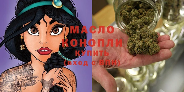 mix Инта
