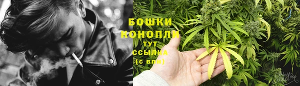 стаф Касимов