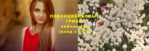 марки lsd Инсар