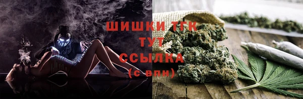эйфоретик Каменка