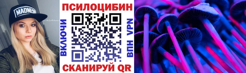 где купить наркотик  Кизилюрт  Галлюциногенные грибы прущие грибы 